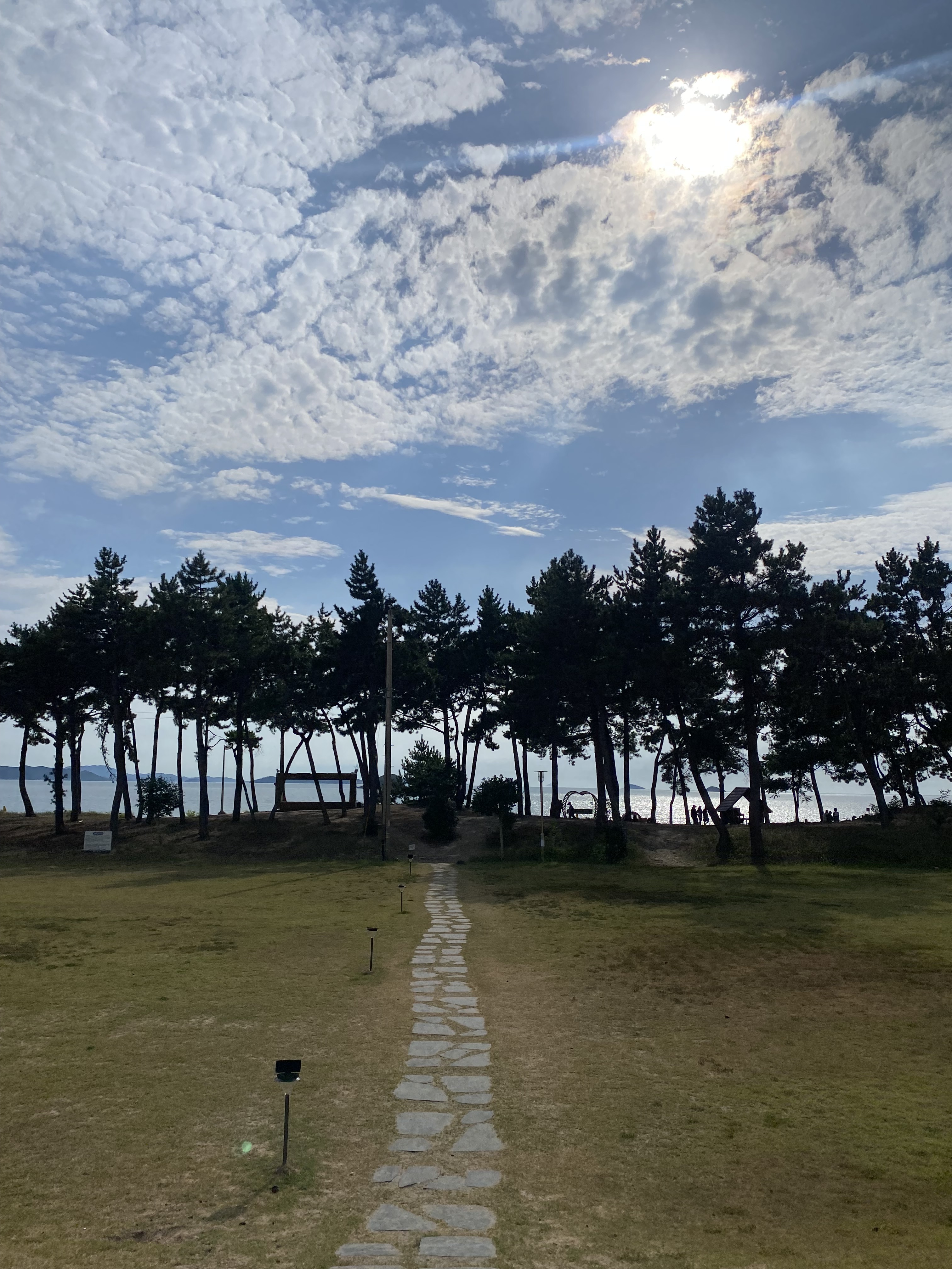 잔디밭 돌길 너머, 소나무 사이로 보이는 바다.