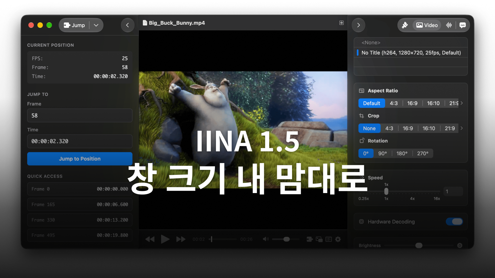 IINA 1.5 창 크기 설정: 비율 잠금·영상 영역·컨트롤 고정 방법