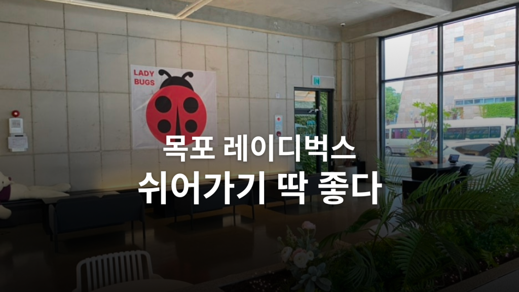 목포 레이디벅스 터미널점 후기ㅣ주차와 공간이 편한 브런치 카페 대표 이미지
