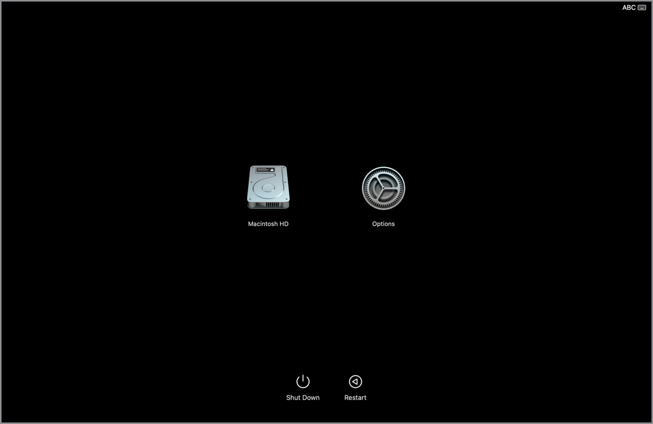 ‘Macintosh HD’와 ‘Options’가 보이는 Apple Silicon 시동 옵션 화면.