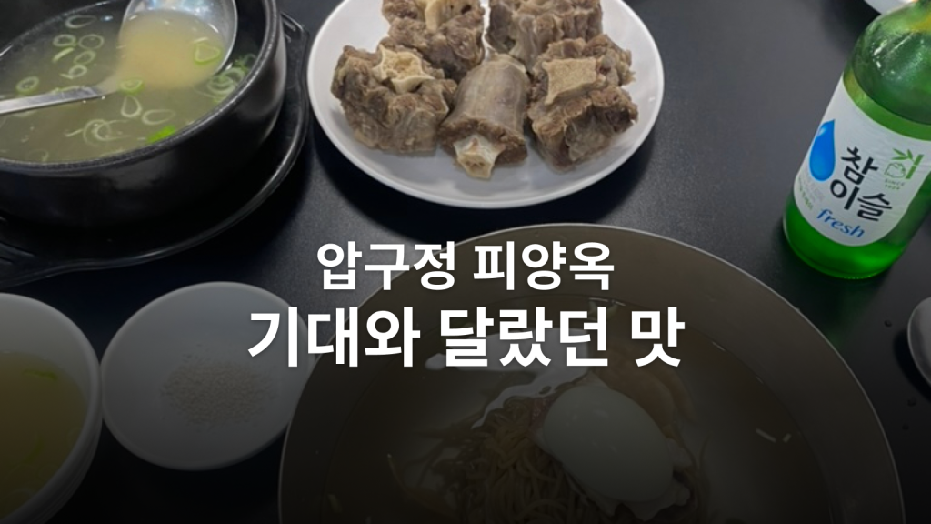 압구정 피양옥 후기ㅣ두 가지 냉면과 꼬리수육, 기대와 달랐던 한 상 대표 이미지
