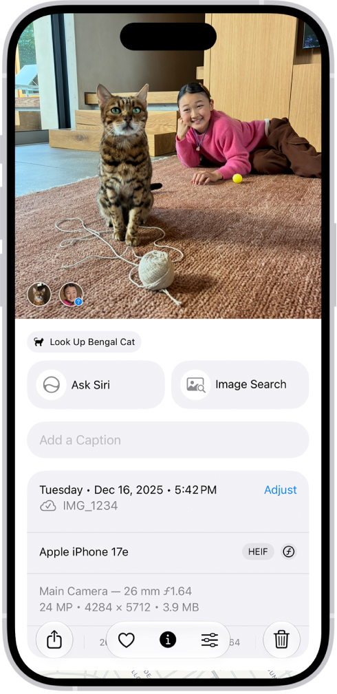 iPhone 17e의 메인 카메라 기록이 보이는 사진 앱 정보 화면 예시.